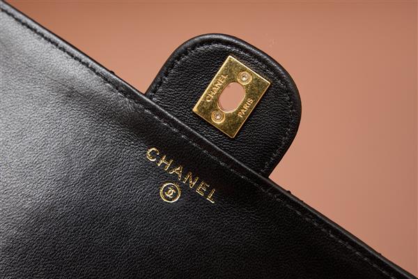 2026131222332981 650